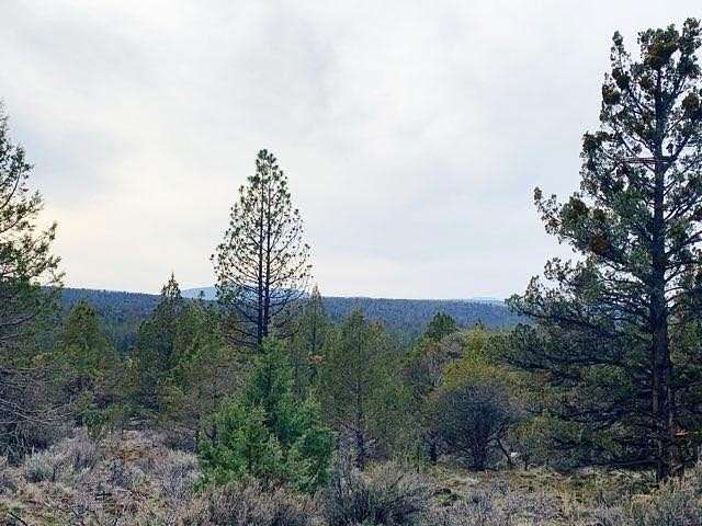 7.42 Acres of Residential Land for Sale in Bonanza, Oregon