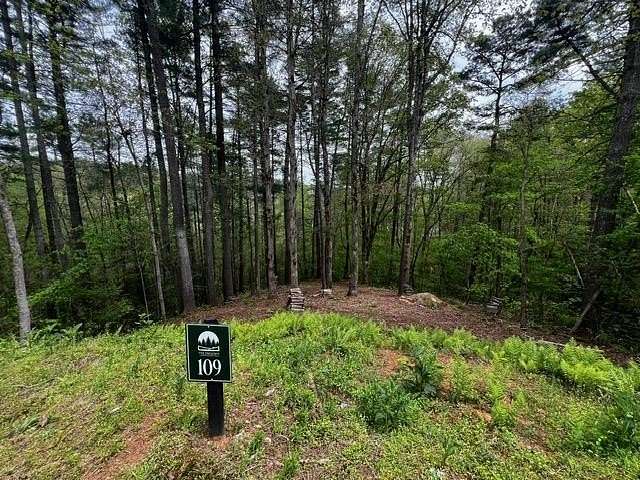 2.37 Acres of Residential Land for Sale in Ellijay, Georgia