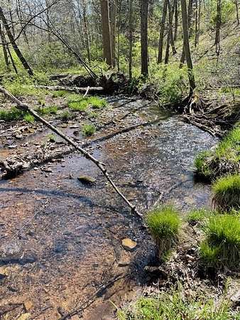 11 Acres of Recreational & Residential Land for Sale in Robertsdale, Pennsylvania