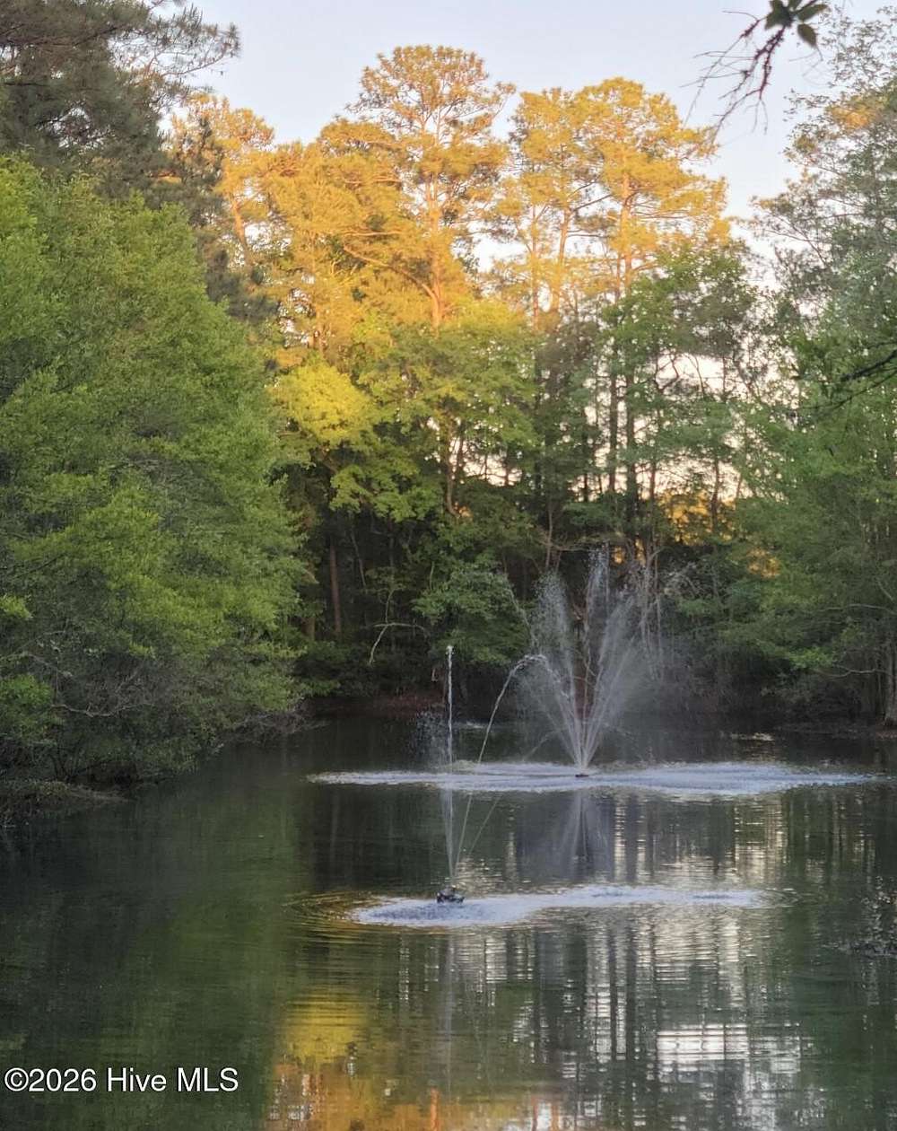 0.45 Acres of Residential Land for Sale in Wilmington, North Carolina