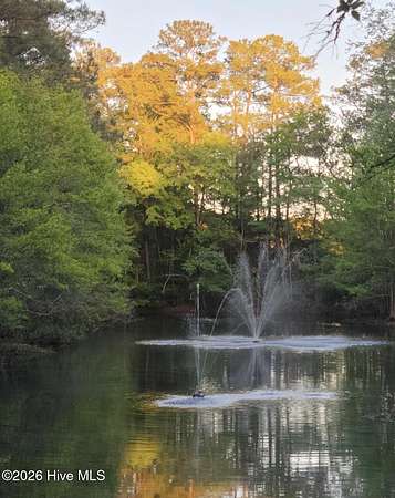 0.45 Acres of Residential Land for Sale in Wilmington, North Carolina