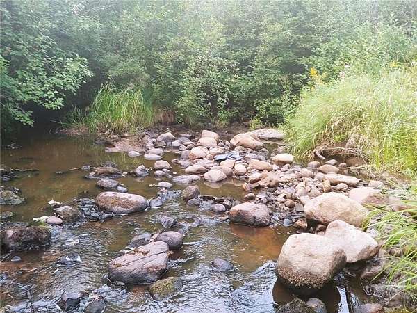 10 Acres of Recreational Land for Sale in Fleming Township, Minnesota