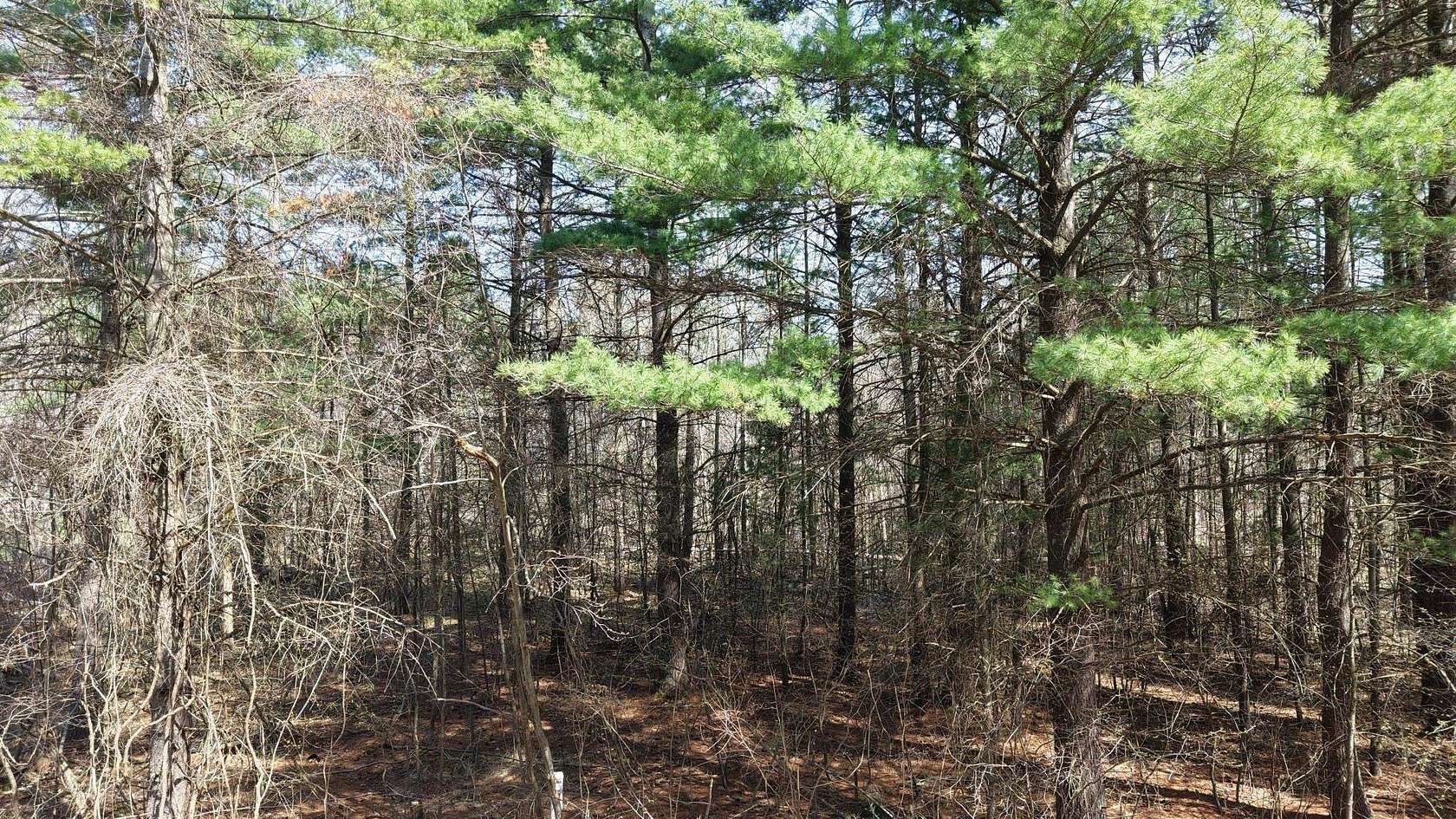 0.38 Acres of Residential Land for Sale in Gladwin, Michigan