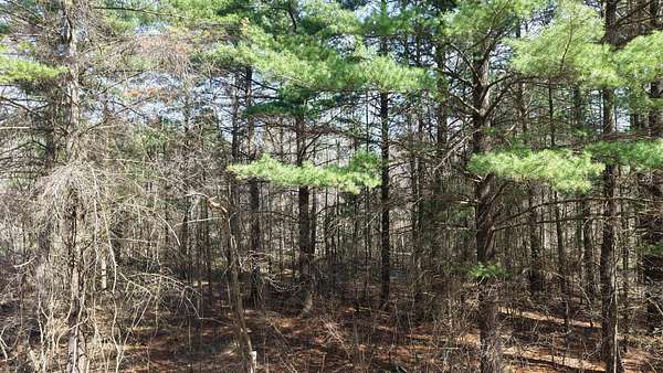 0.38 Acres of Residential Land for Sale in Gladwin, Michigan