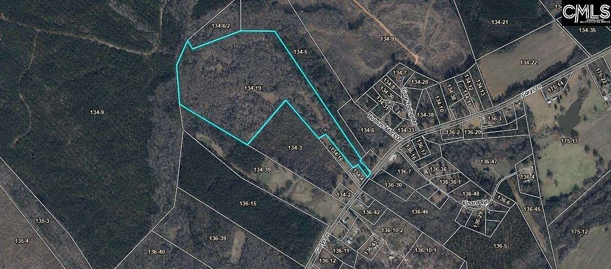 45.4 Acres of Recreational & Residential Land for Sale in Kinards, South Carolina
