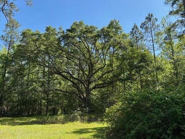 18.5 Acres of Land for Sale in Webb, Alabama