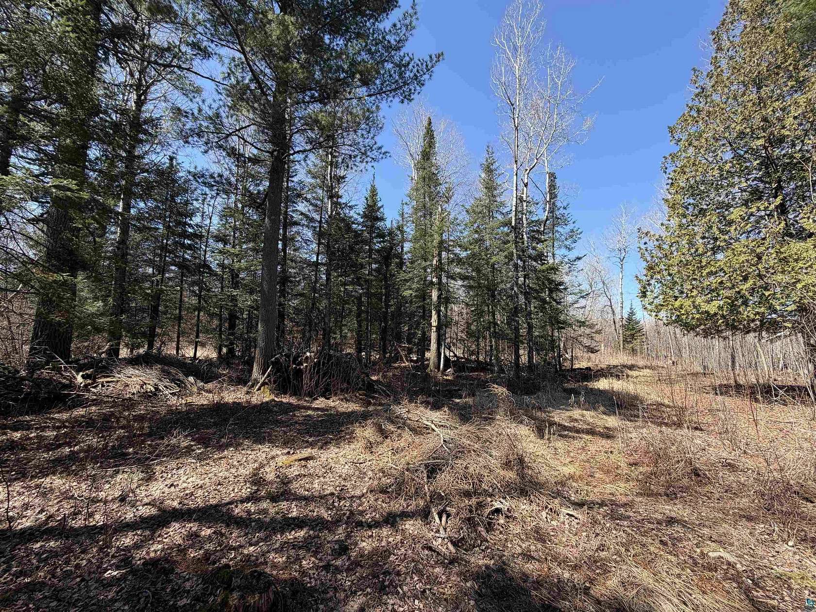 7.7 Acres of Land for Sale in Esko, Minnesota