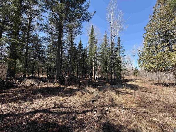 7.7 Acres of Land for Sale in Esko, Minnesota
