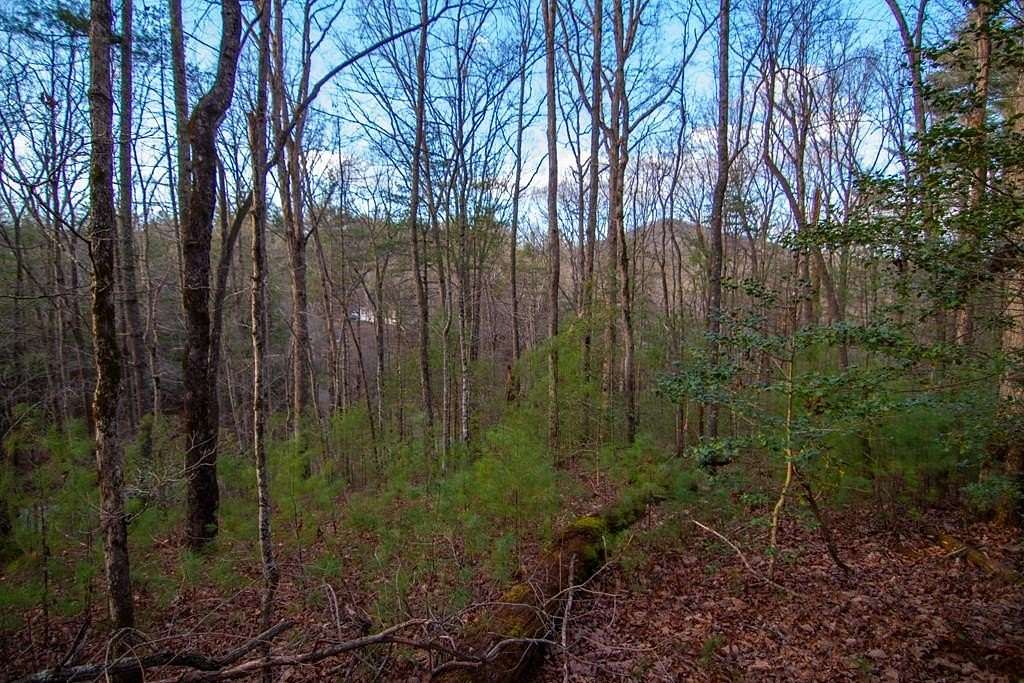 1.9 Acres of Land with Home for Sale in Cherry Log, Georgia