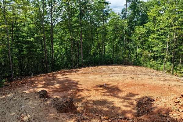 1.9 Acres of Land with Home for Sale in Cherry Log, Georgia