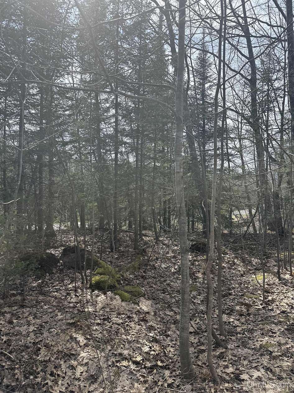 10 Acres of Recreational Land for Sale in Ontonagon, Michigan