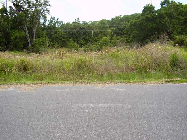 0.23 Acres of Residential Land for Sale in Kissimmee, Florida