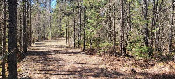 36 Acres of Recreational & Residential Land for Sale in Rhinelander, Wisconsin