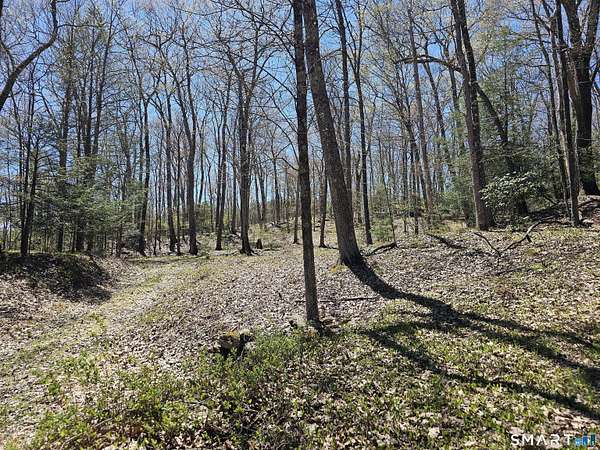 3 Acres of Residential Land for Sale in Roxbury, Connecticut