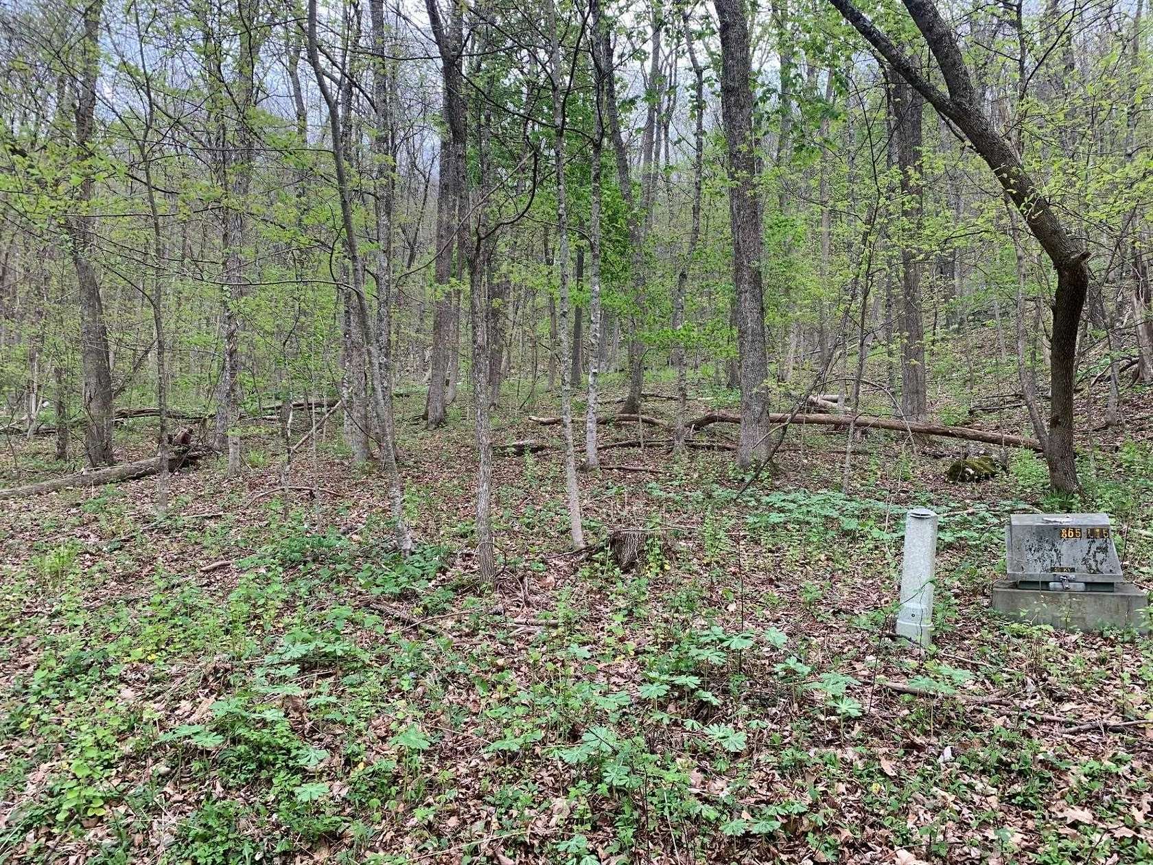 7.34 Acres of Residential Land for Sale in Hot Springs, Virginia