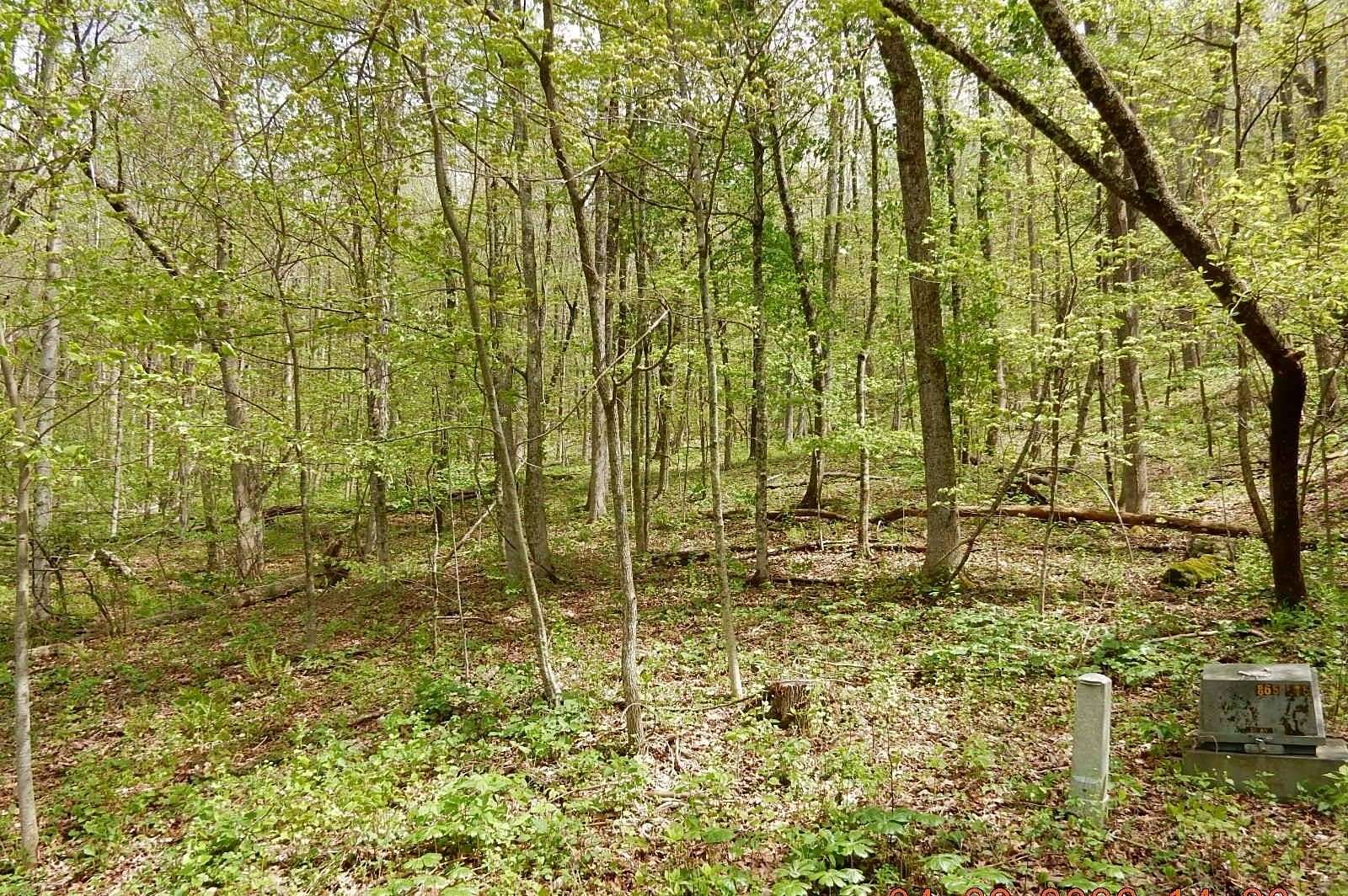7.34 Acres of Residential Land for Sale in Hot Springs, Virginia