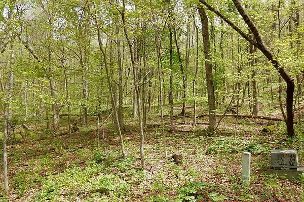 7.34 Acres of Residential Land for Sale in Hot Springs, Virginia