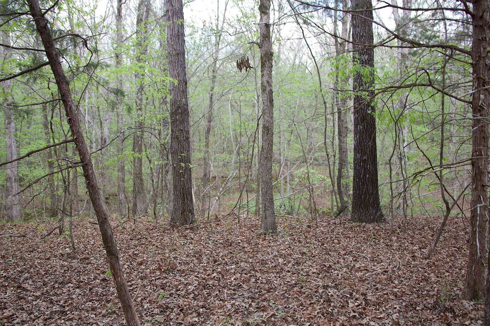 12 Acres of Recreational & Residential Land for Sale in Michigan City, Mississippi