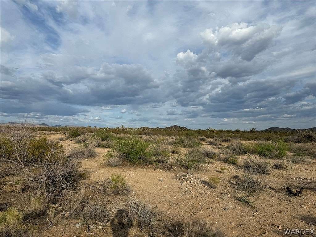 40.1 Acres of Agricultural & Residential Land for Sale in Yucca, Arizona