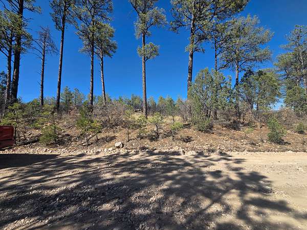 0.5 Acres of Residential Land for Sale in Timberon, New Mexico