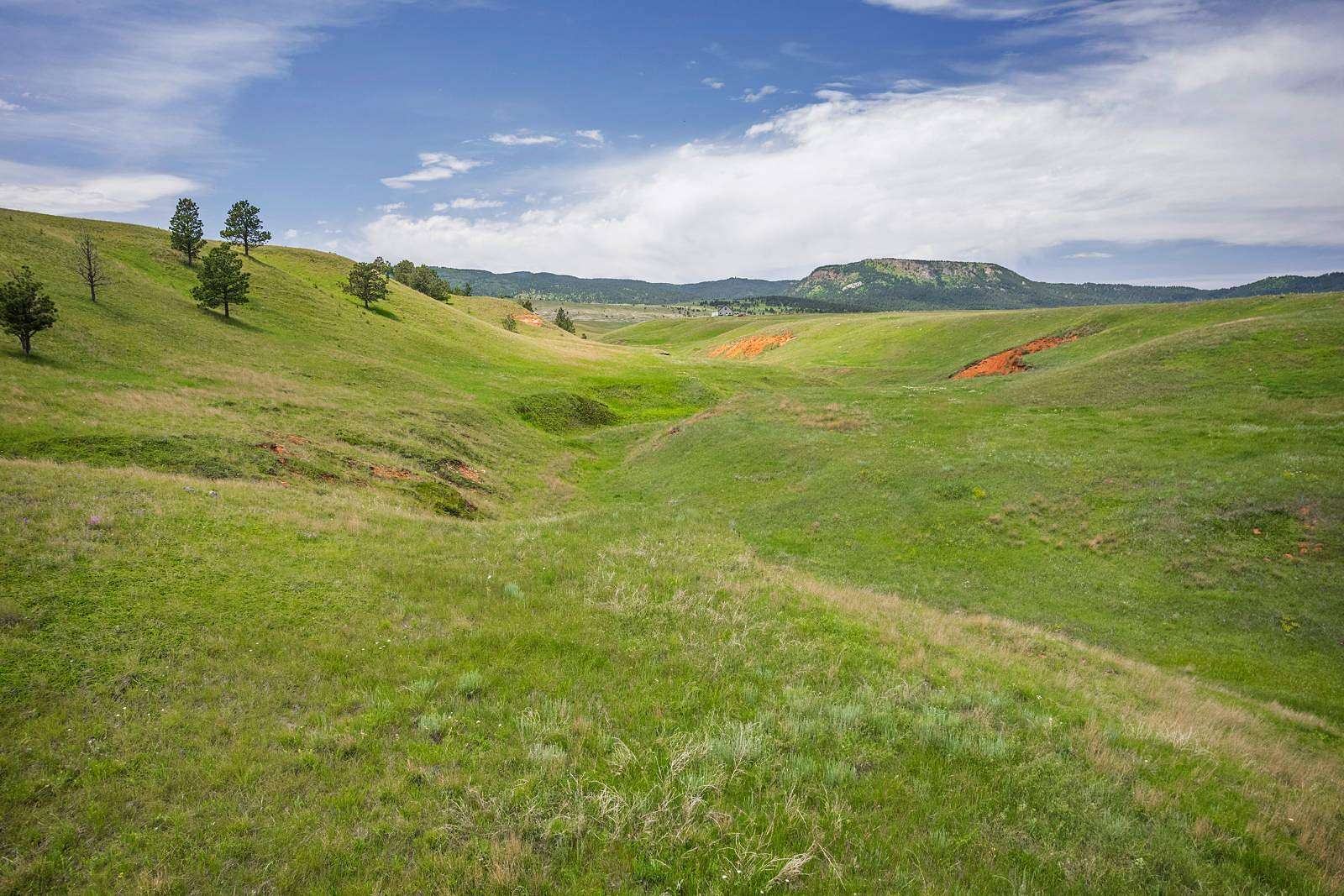 113 Acres of Recreational Land for Sale in Sundance, Wyoming
