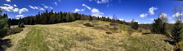 28.5 Acres of Recreational & Residential Land for Sale in Corinth, Vermont