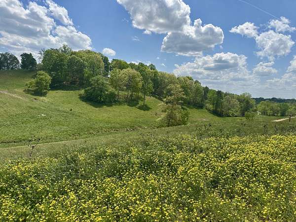 12 Acres of Agricultural Land for Sale in London, Kentucky