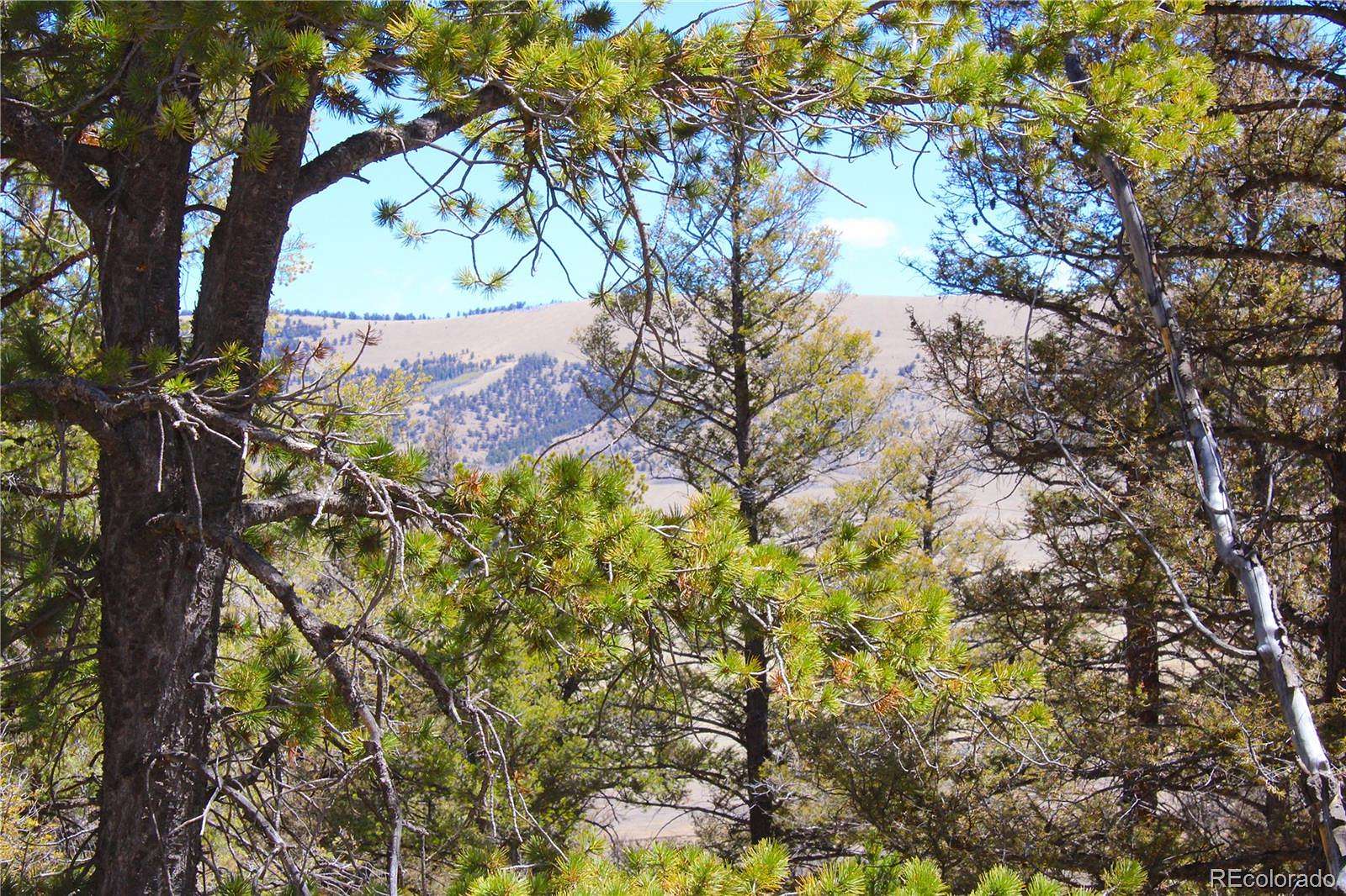 2 Acres of Residential Land for Sale in Fairplay, Colorado