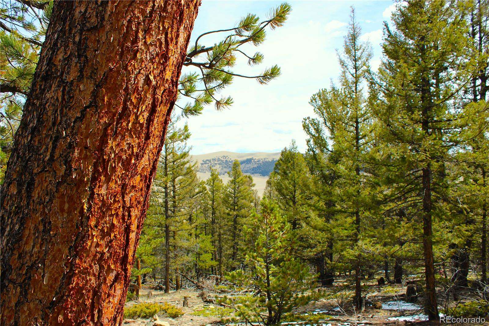 2 Acres of Residential Land for Sale in Fairplay, Colorado