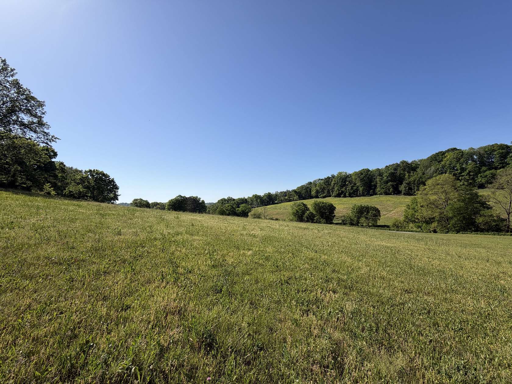 15 Acres of Land for Sale in Williamsport, Tennessee