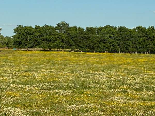 7.15 Acres of Residential Land for Sale in Mount Pleasant, Tennessee