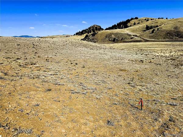 5 Acres of Residential Land for Sale in Hartsel, Colorado