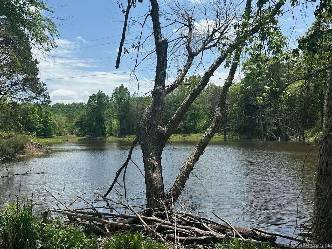 60 Acres of Recreational & Residential Land for Sale in Quitman, Arkansas