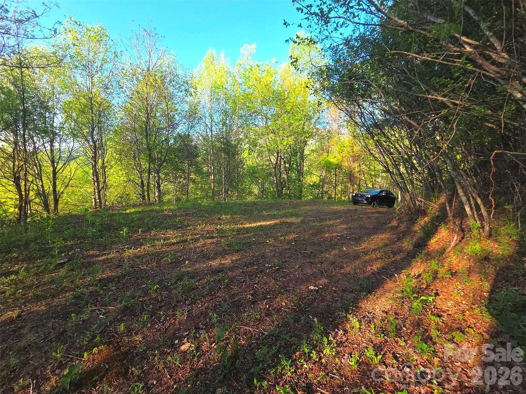1.5 Acres of Residential Land for Sale in Waynesville, North Carolina