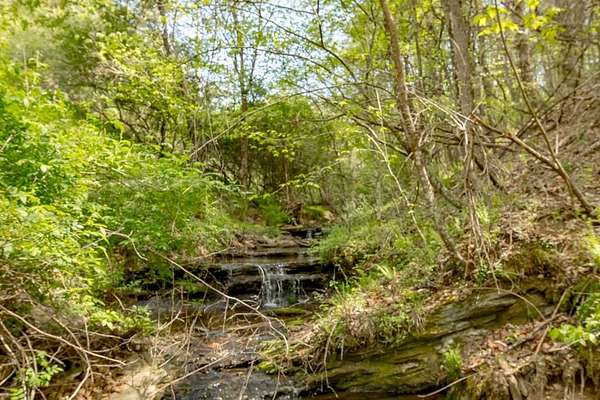19.2 Acres of Recreational Land for Sale in Independence, Virginia