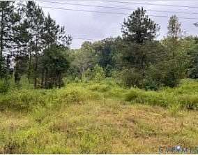4 Acres of Residential Land for Sale in Dendron, Virginia