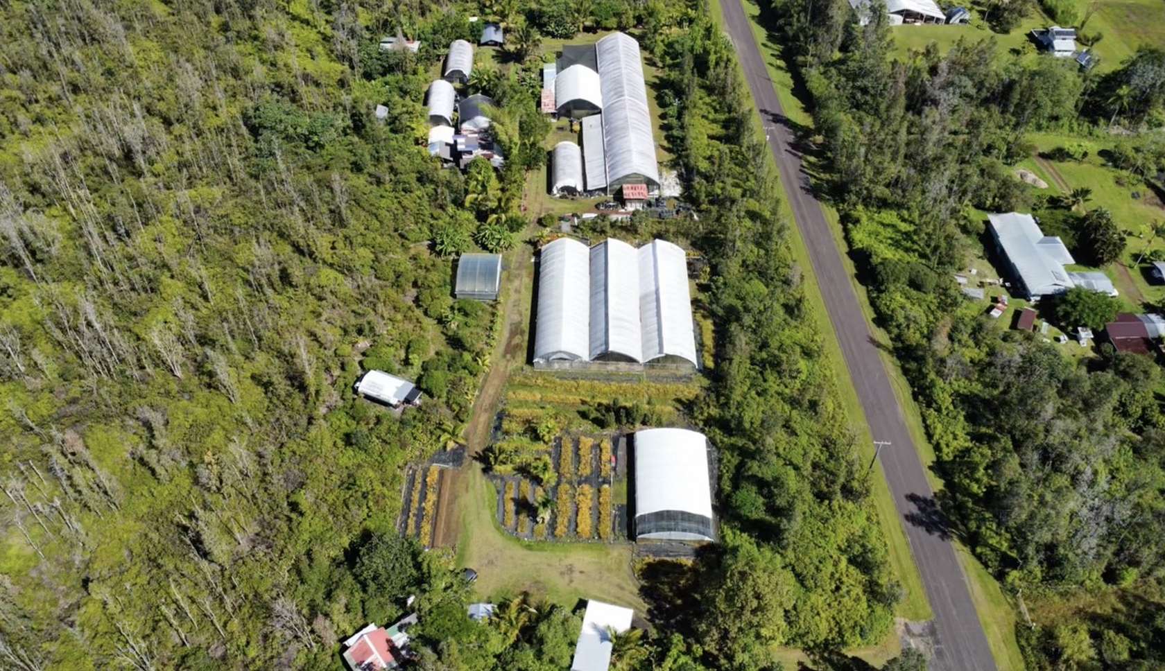 5 Acres of Agricultural Land for Sale in Pahoa, Hawaii