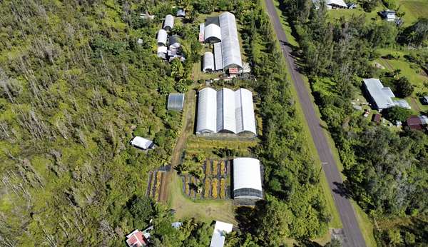 5 Acres of Agricultural Land for Sale in Pahoa, Hawaii