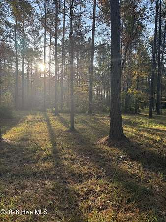 2.76 Acres of Residential Land for Sale in Oriental, North Carolina