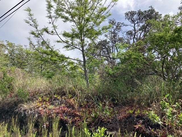 1 Acre of Residential Land for Sale in Hawaiian Ocean View, Hawaii