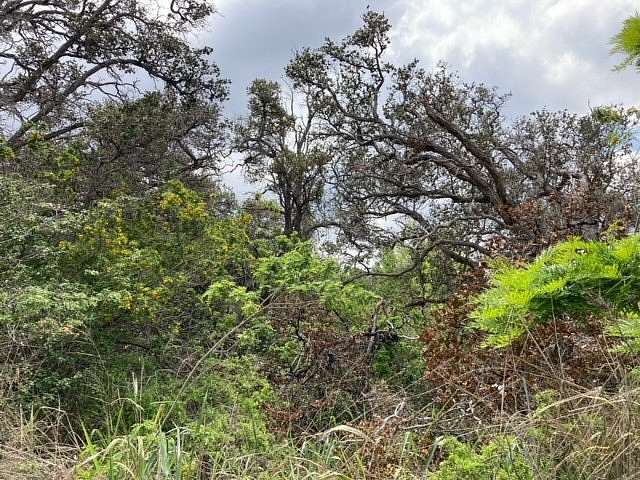 1 Acre of Residential Land for Sale in Hawaiian Ocean View, Hawaii