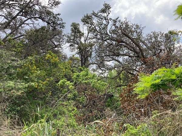 1 Acre of Residential Land for Sale in Hawaiian Ocean View, Hawaii