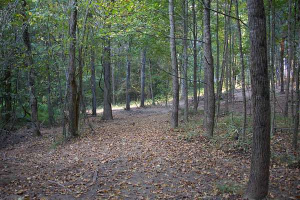7.5 Acres of Land for Sale in Michigan City, Mississippi