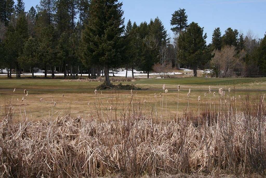 0.26 Acres of Residential Land for Sale in McCall, Idaho