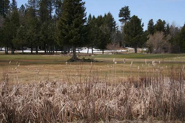 0.26 Acres of Residential Land for Sale in McCall, Idaho