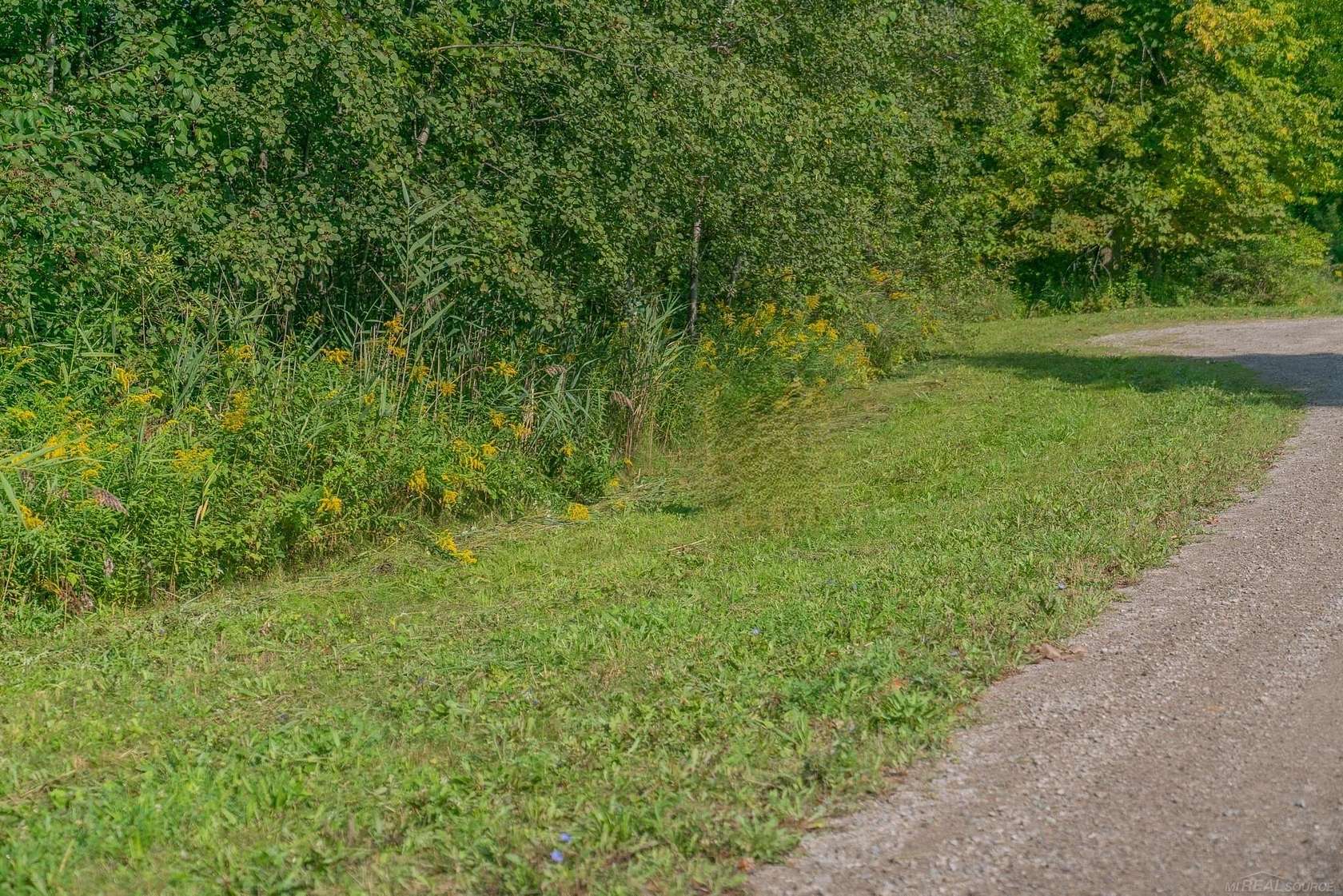 0.31 Acres of Residential Land for Sale in Harbor Beach, Michigan