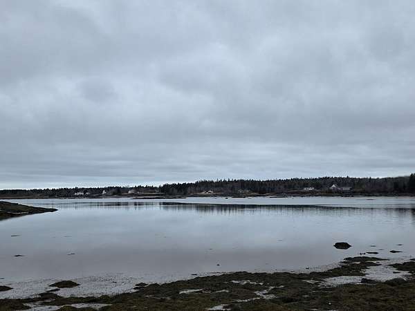 4.46 Acres of Land for Sale in Addison, Maine