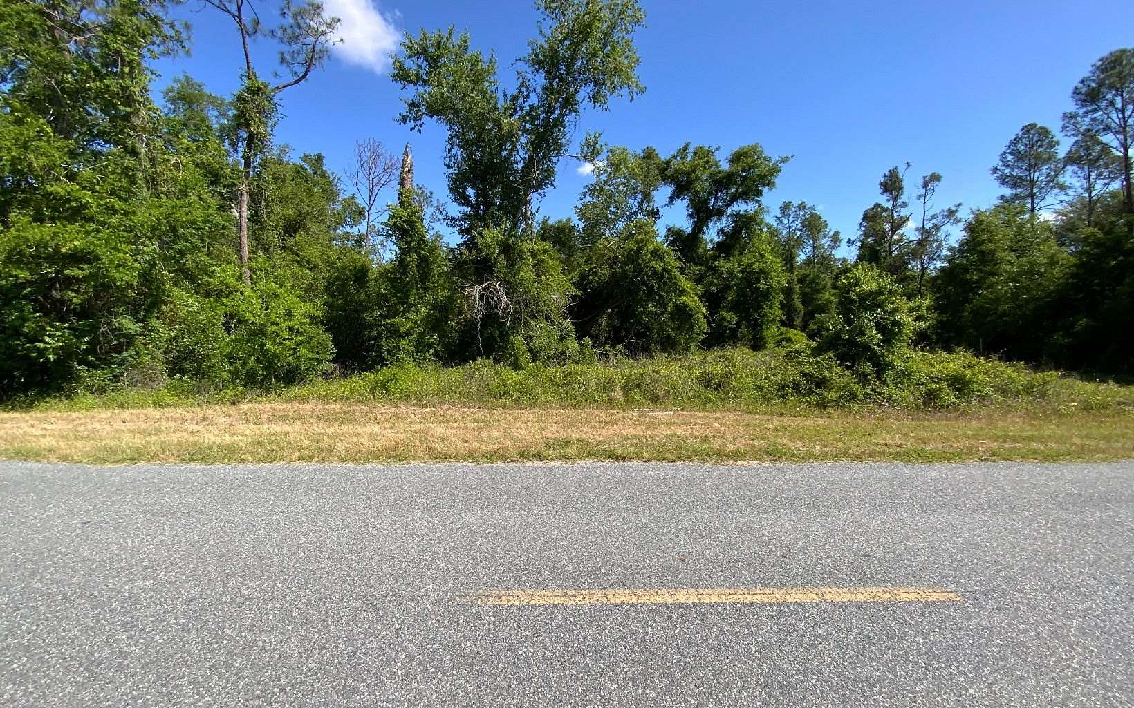 5.43 Acres of Residential Land for Sale in Live Oak, Florida