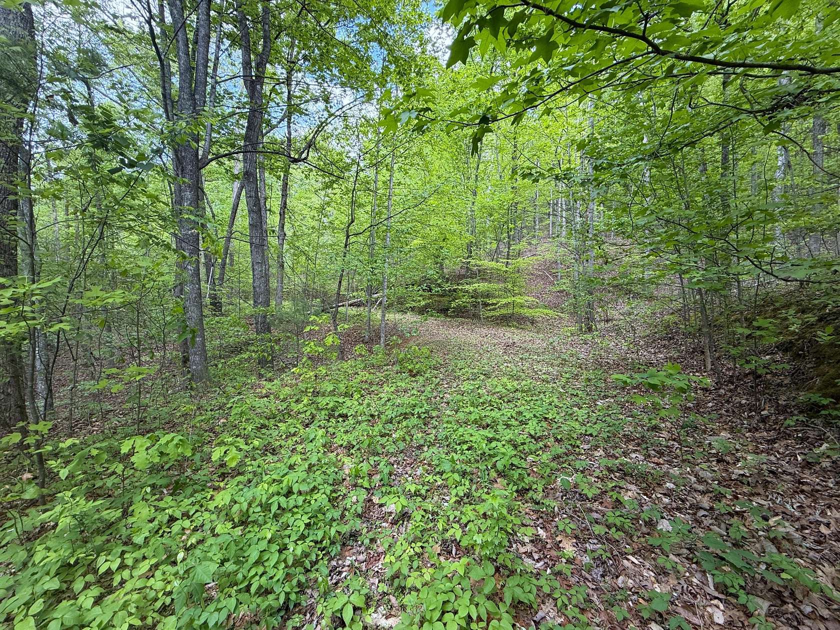 15 Acres of Recreational & Residential Land for Sale in Newport, Tennessee