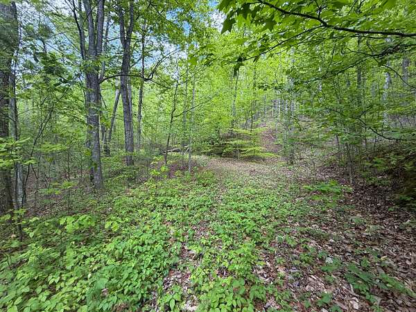 15 Acres of Recreational & Residential Land for Sale in Newport, Tennessee